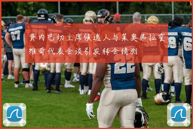 费内巴切主席候选人与莱奥弗拉霍维奇代表会谈引发转会猜测