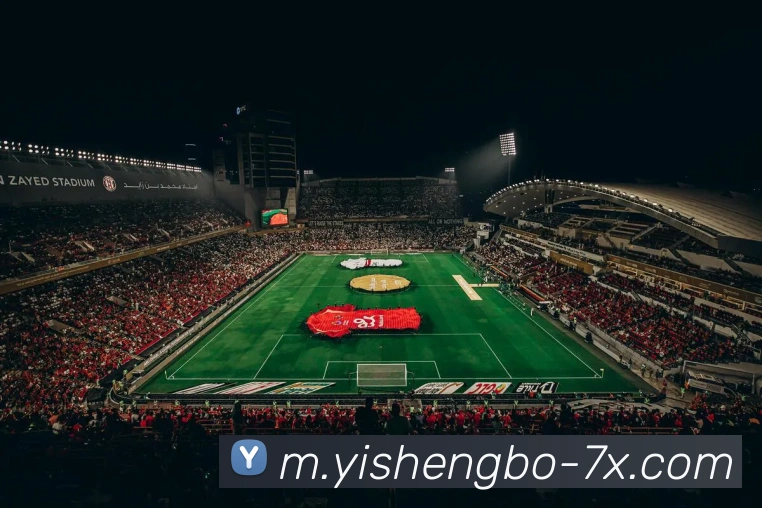 奖项证书